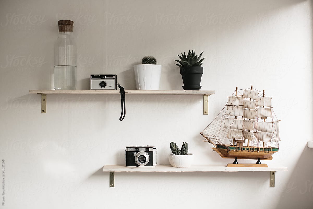 shelves in bright sun room with plants and model ship