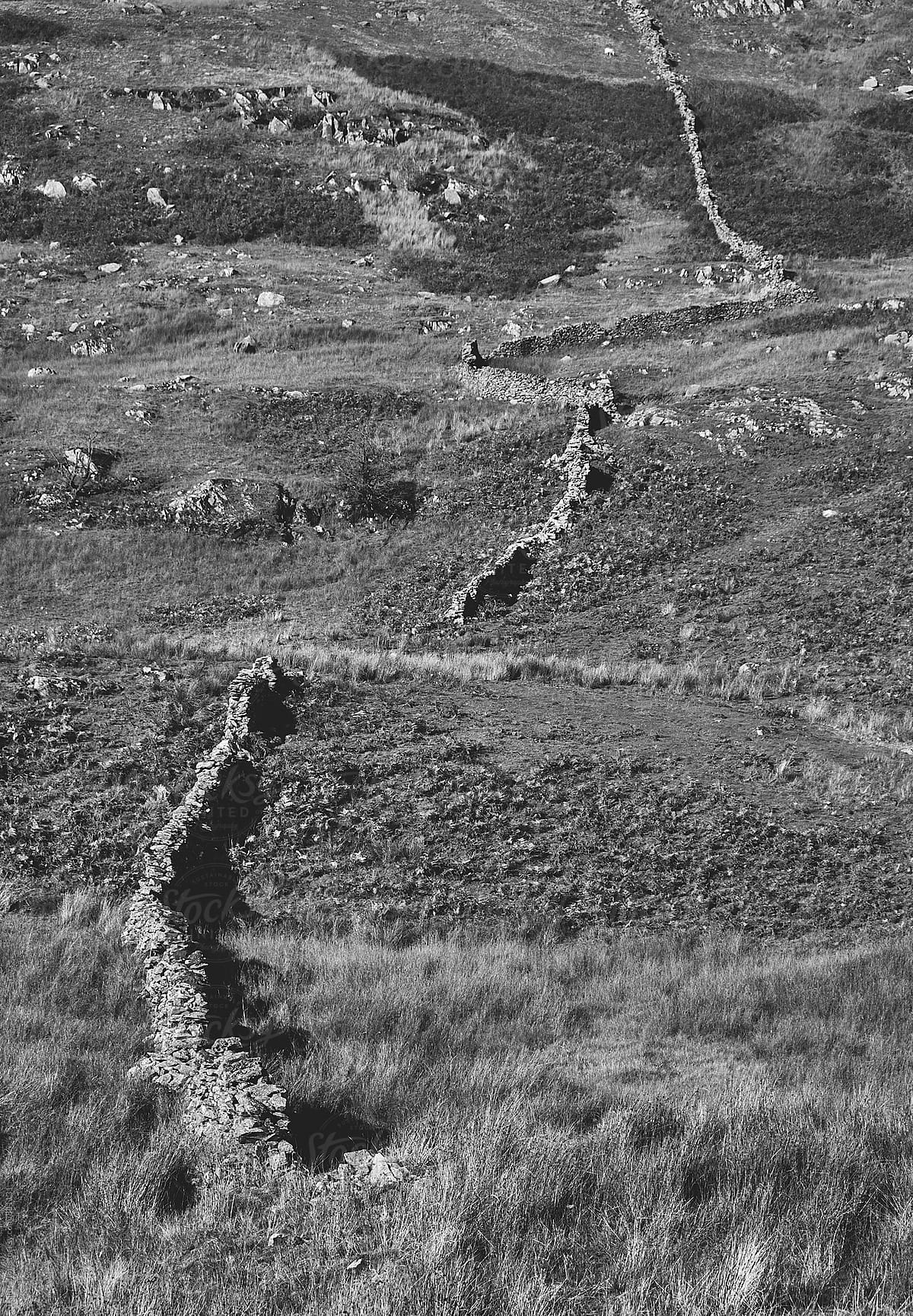 Drystone wall on a hillside. Cumbria, UK