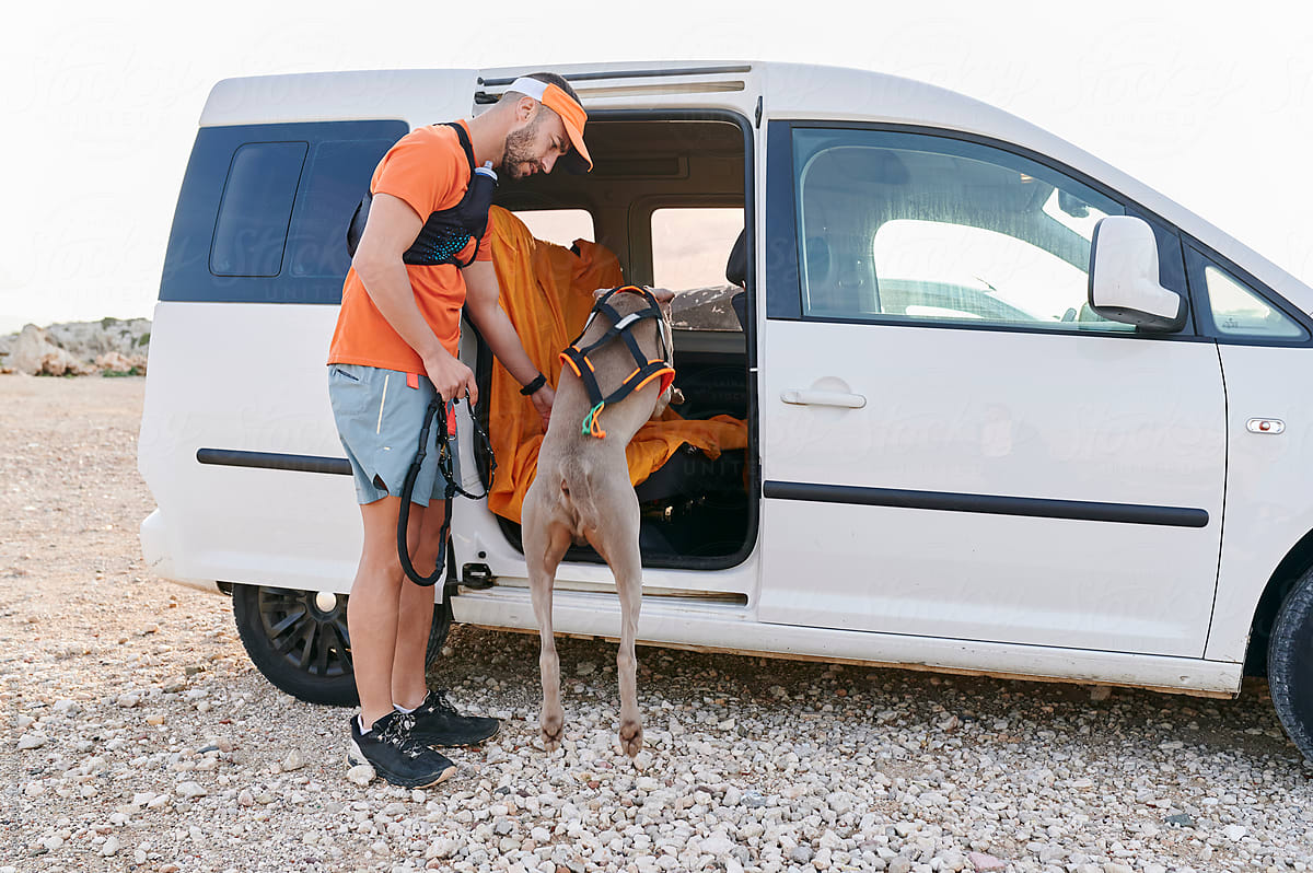 Man and his dog getting into a van after a run