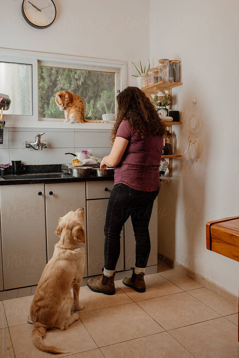 Curly-haired Girl Prepares Food At Kitchen. Dog And Cat Waiting.