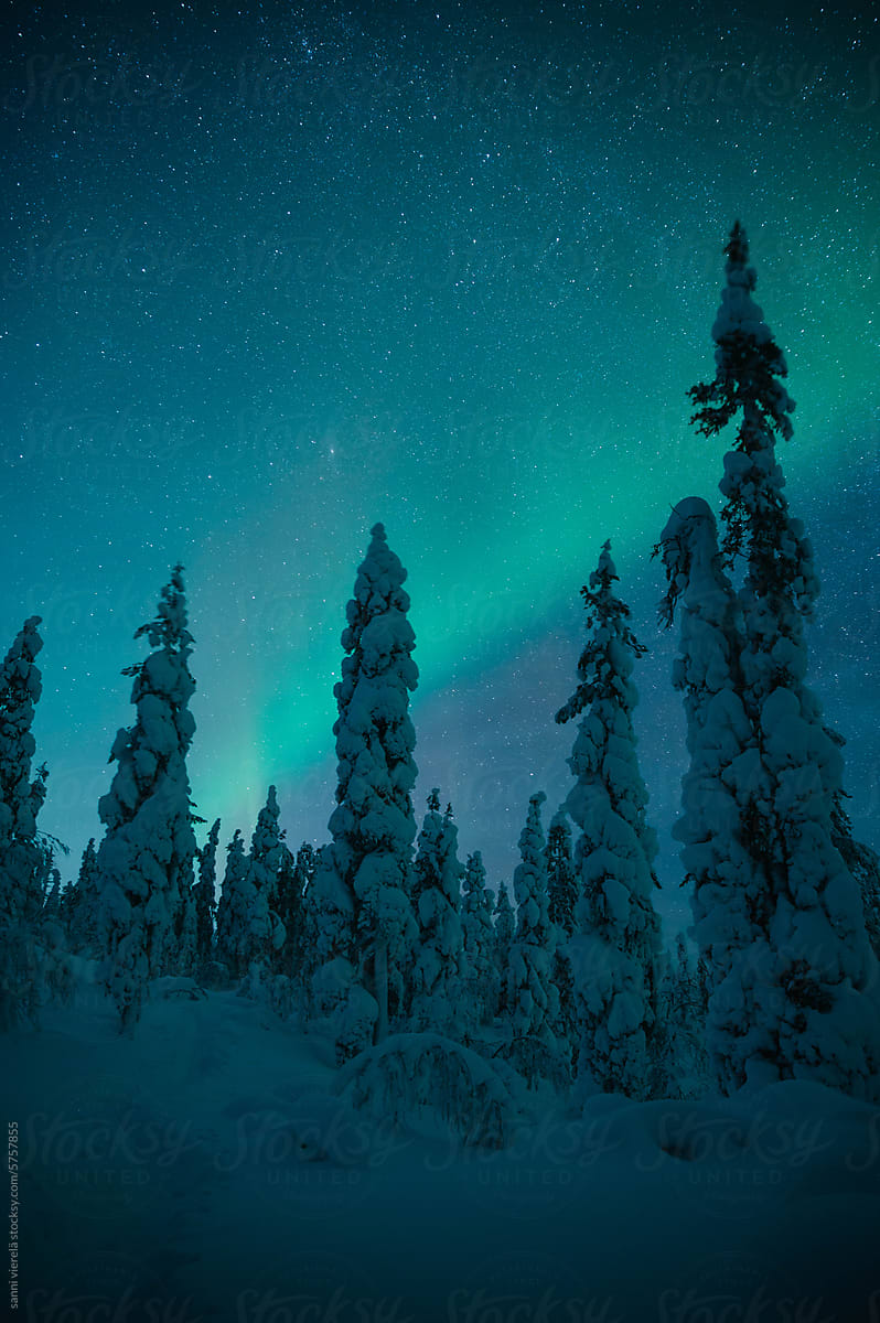 The Northern Lights in the Finnish Lapland