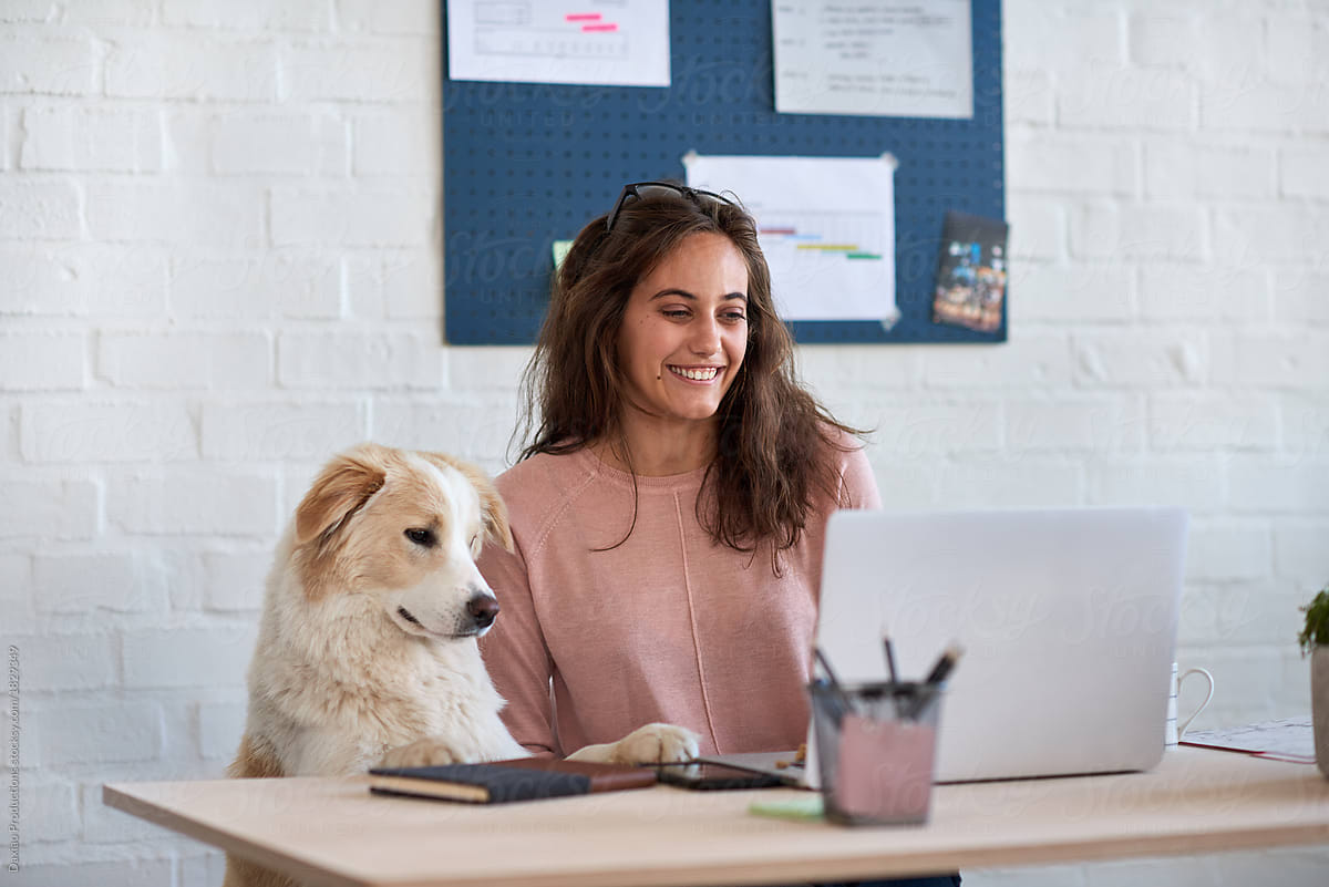 Woman working from home with pet dog