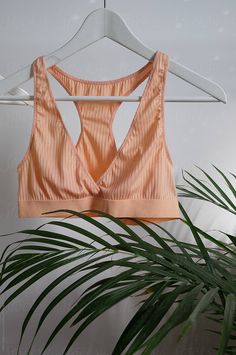 Peach color lingerie on clothes hanger