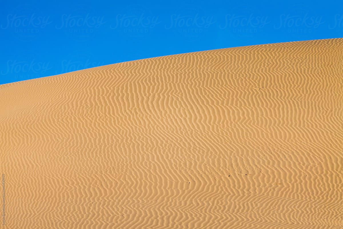 San Dune Texture