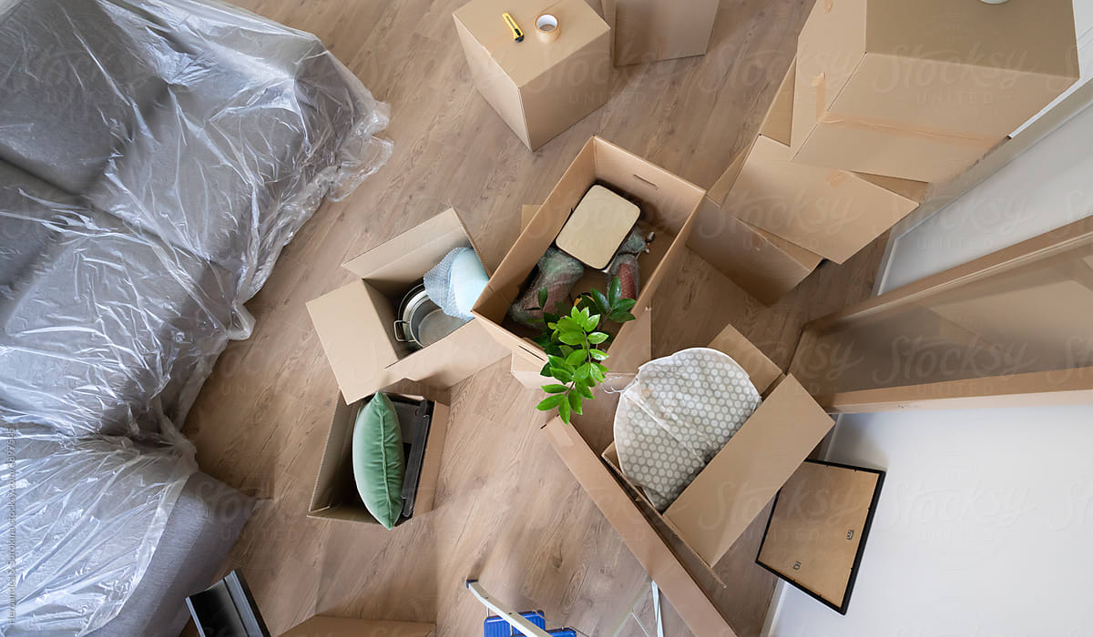 Many Boxes With Belongings And Plants