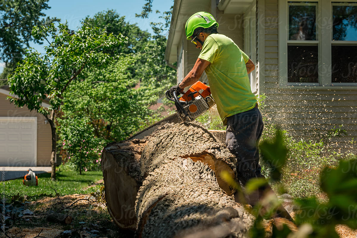 Tree removal worker cutting a log at a home