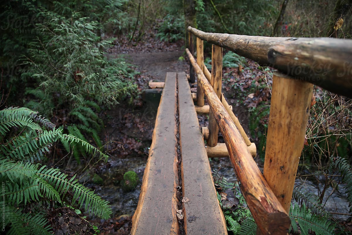 A Tree Log Bridge Going Across A Creek