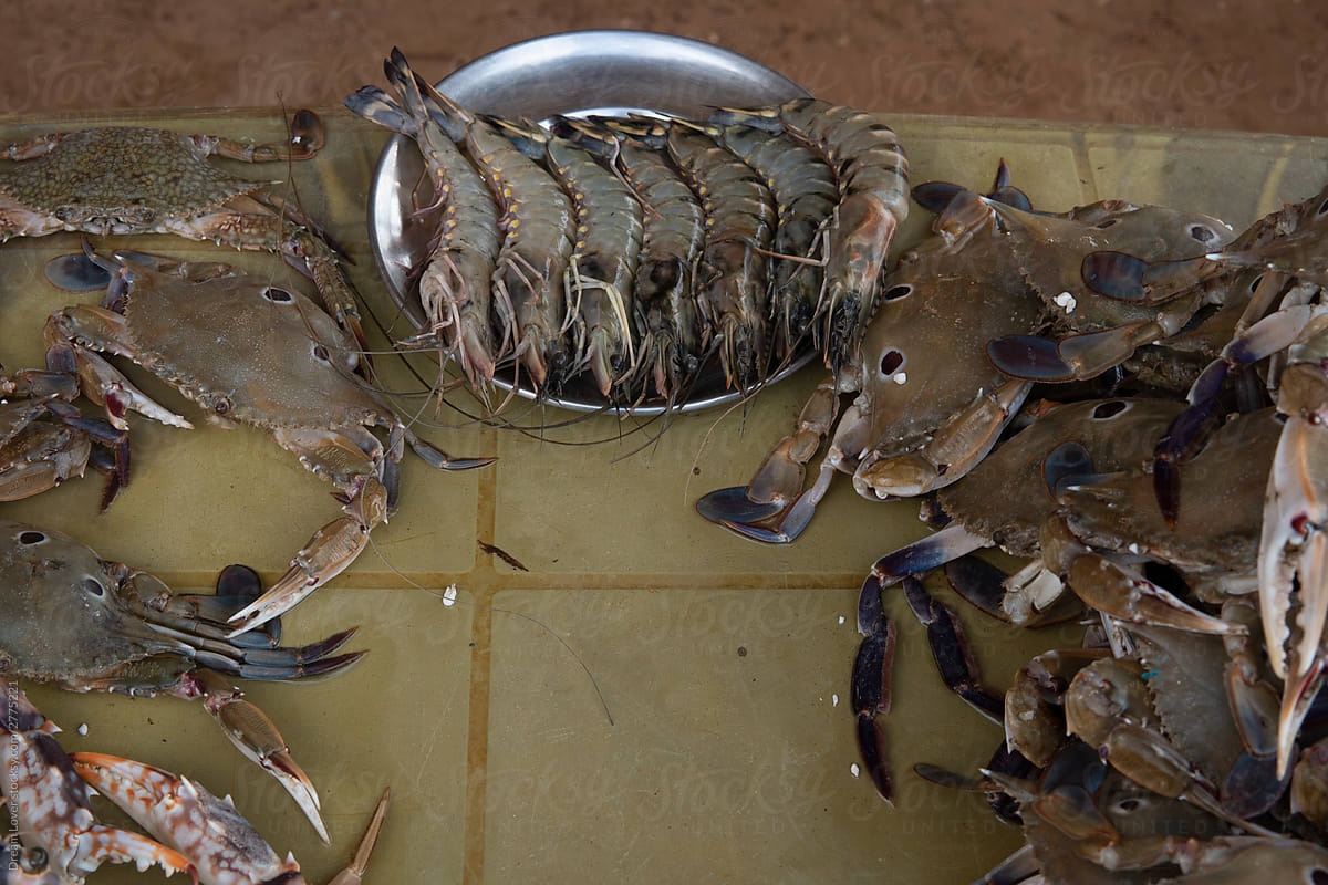 Sea food with tiger prone and crabs