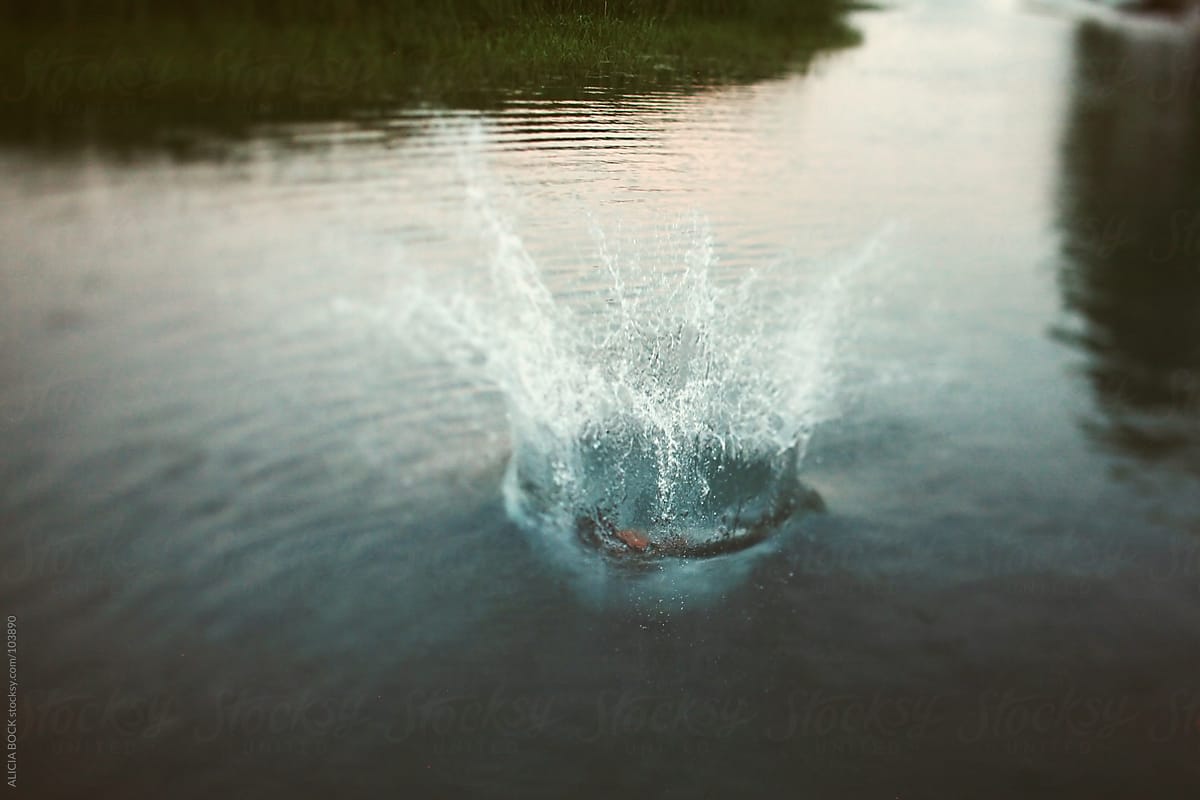 The Splash