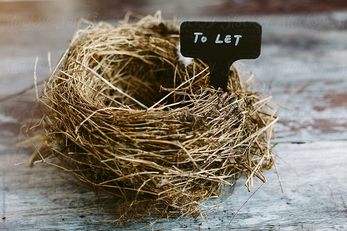 An empty nest with a rental sign. Real Estate concept.