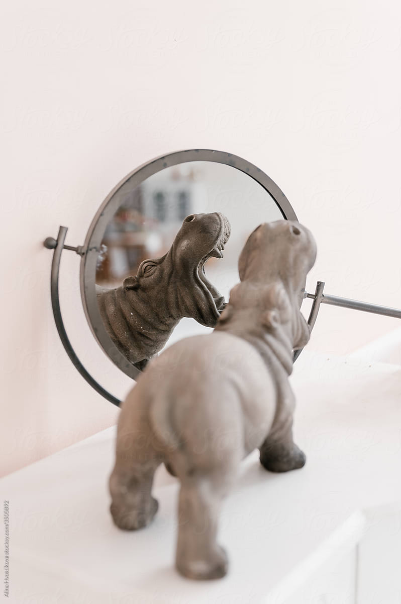 Hippo statuette near mirror on shelf