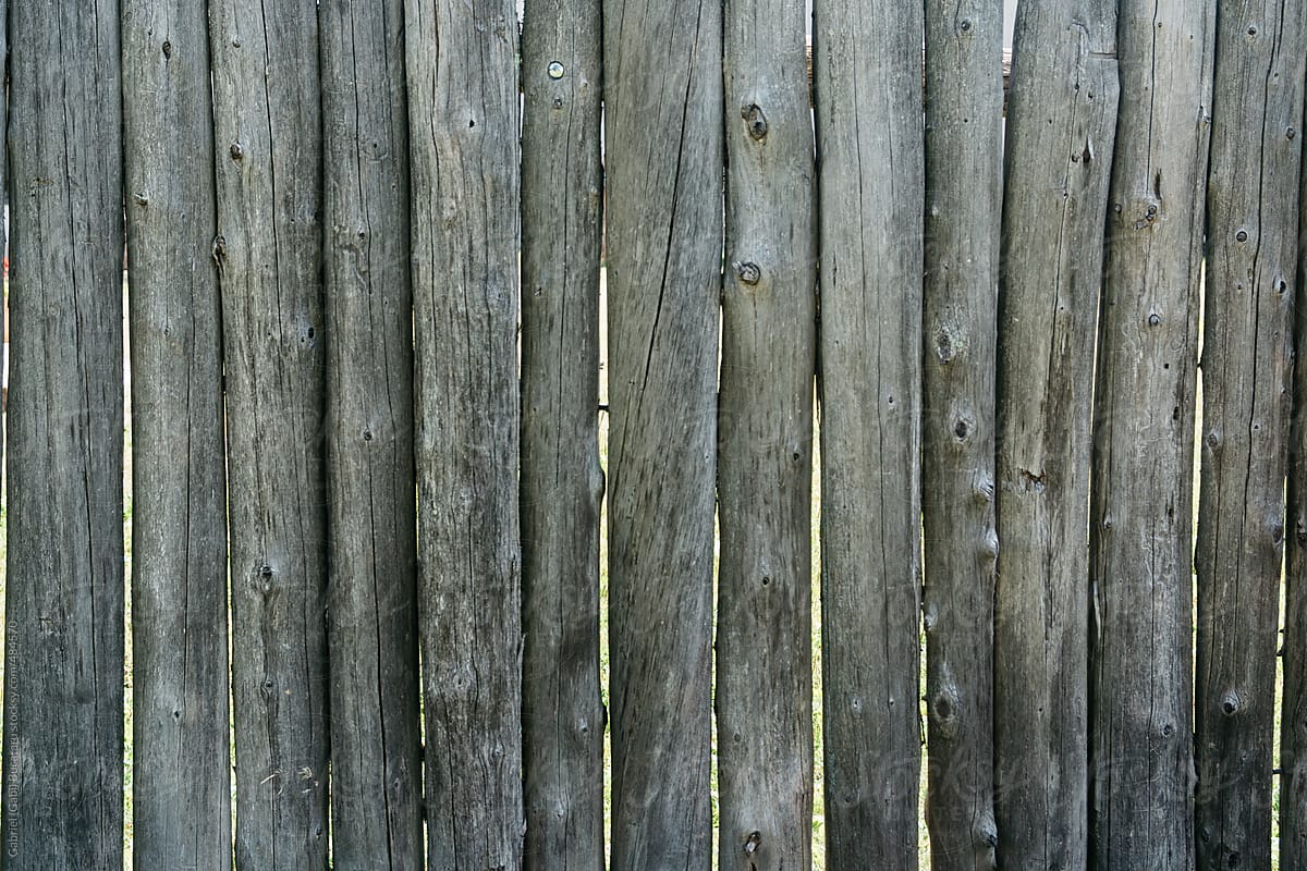 Weathered wooden fence texture