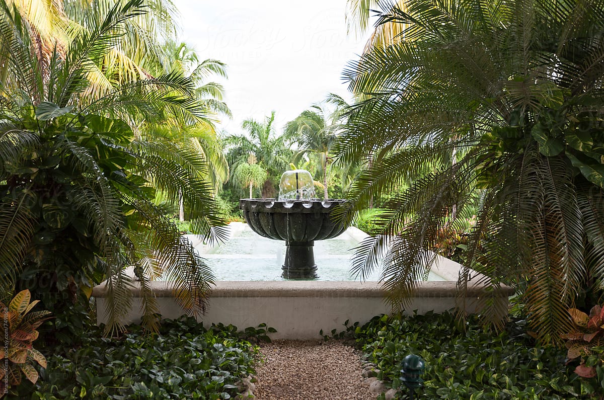 Fountain in the Jungle