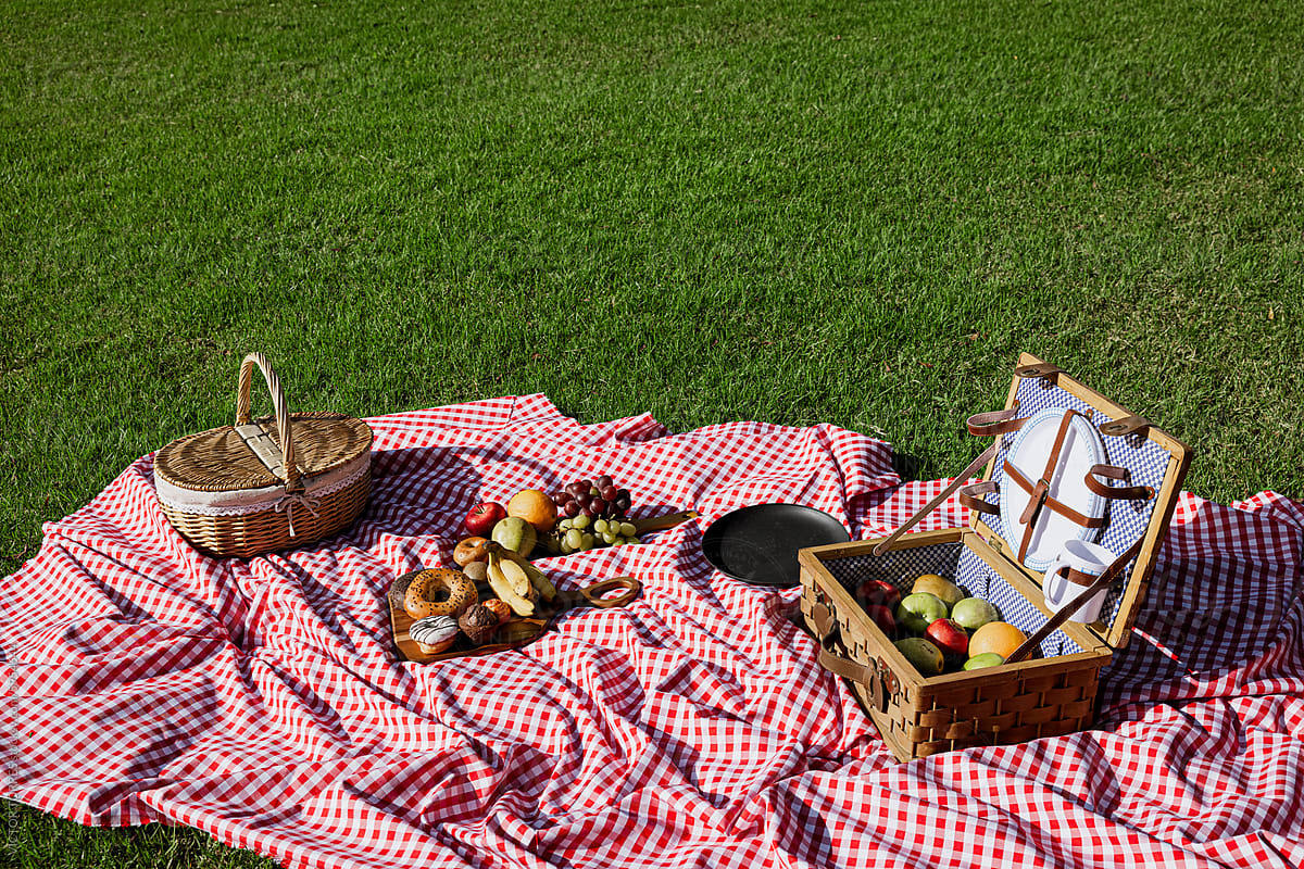 Sunny day picnic setup on checkered blanket in park