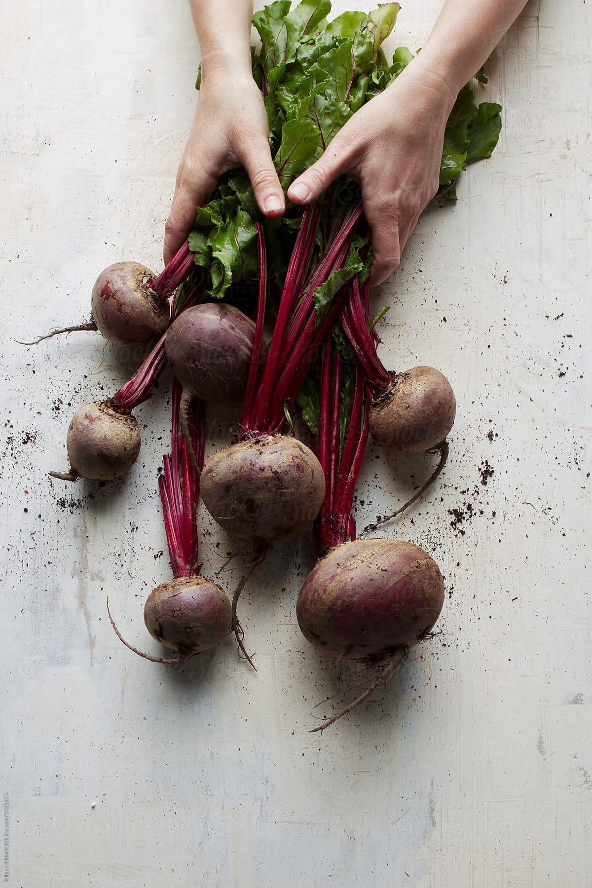 Close up of  hands grabbing a bunch of fresh red beets