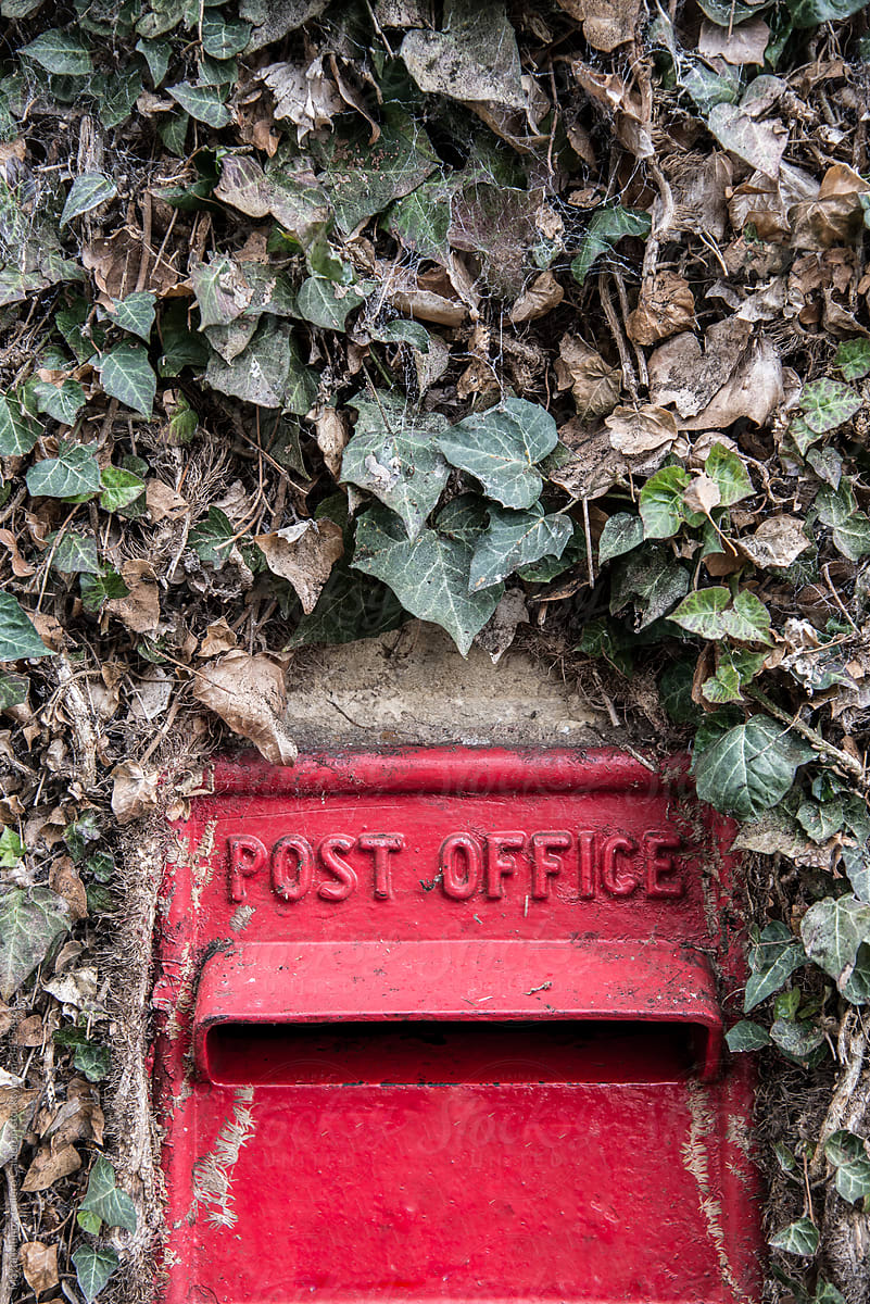 Old red mailbox among dry creeper