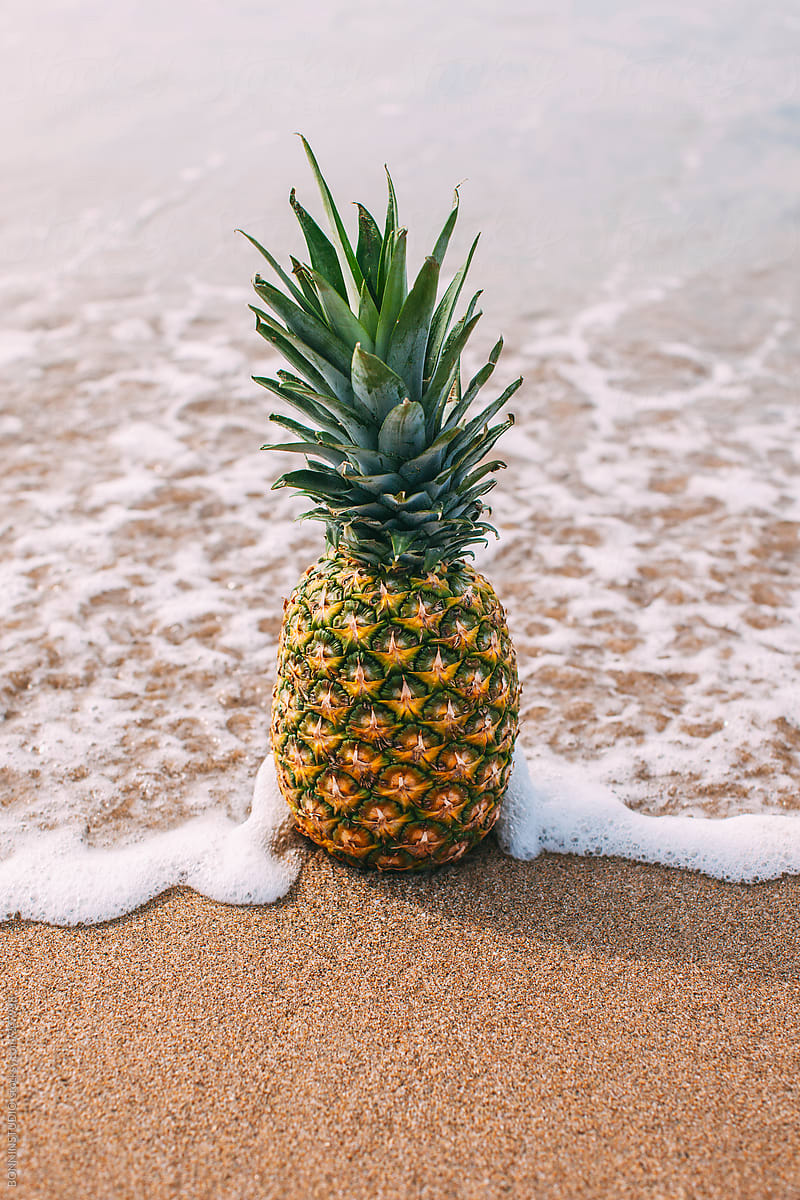Pineapple On The Beach. Summer Time. | Stocksy United