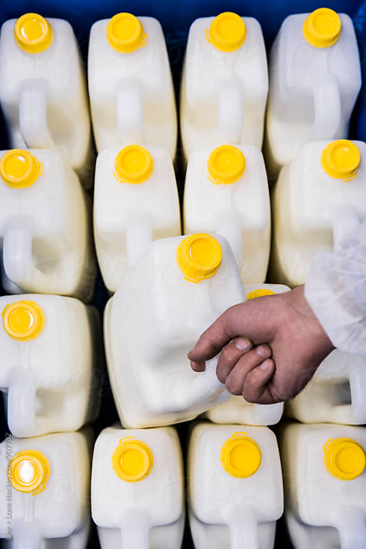 Hand picking large container of cream from an assembly line