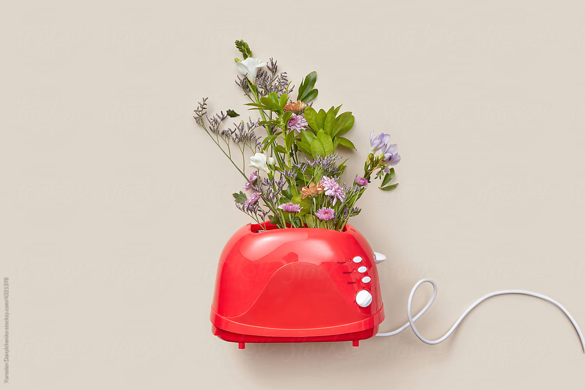 Spring flowers placed inside red toaster