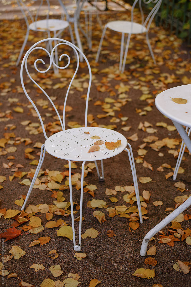 Patio of a cafe covered with fallen leaves