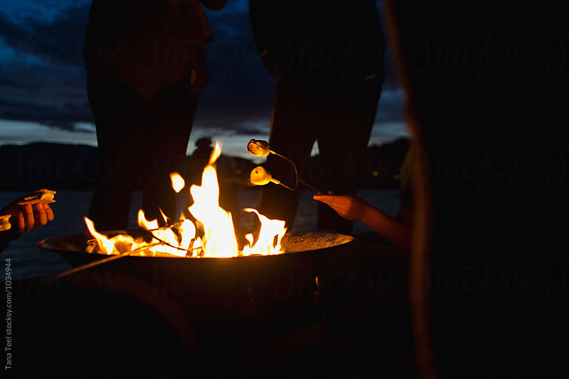 roasting marshmallows over campfire flame
