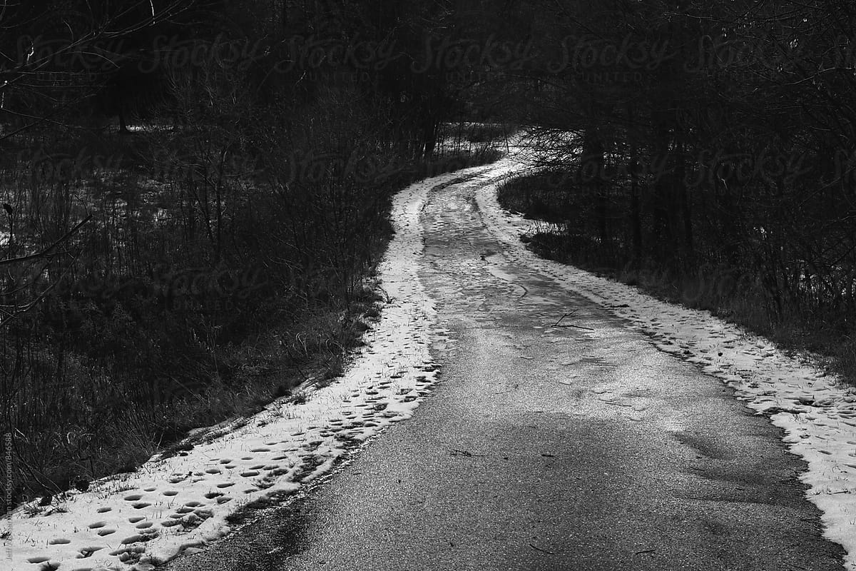 Slushy Pathway in the Woods in Winter