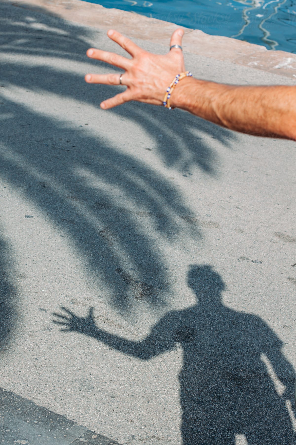 Man playing with his shadow next to a palm tree
