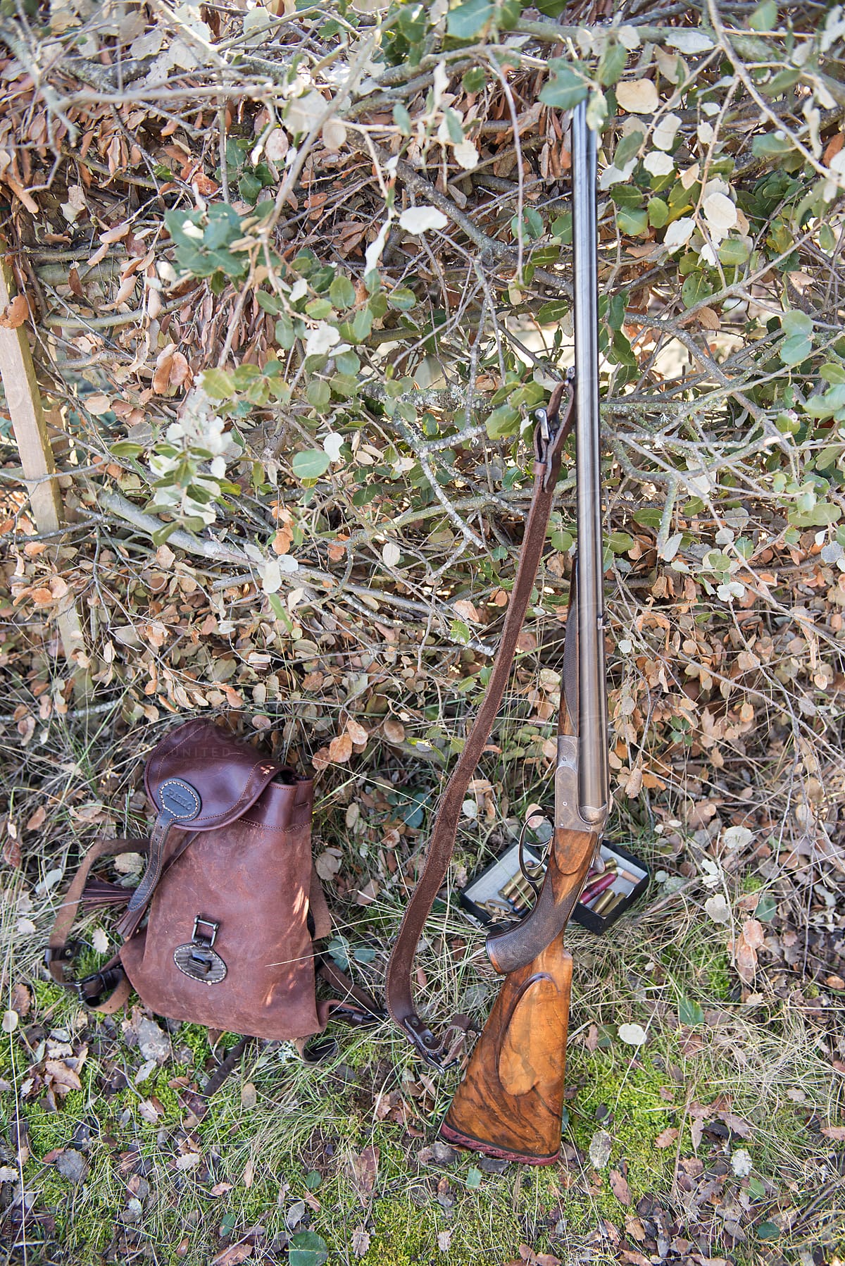 Rifle and rucksack in a hunting spot