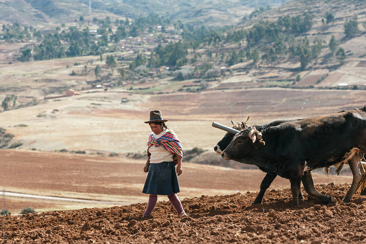 Indigenous woman farming