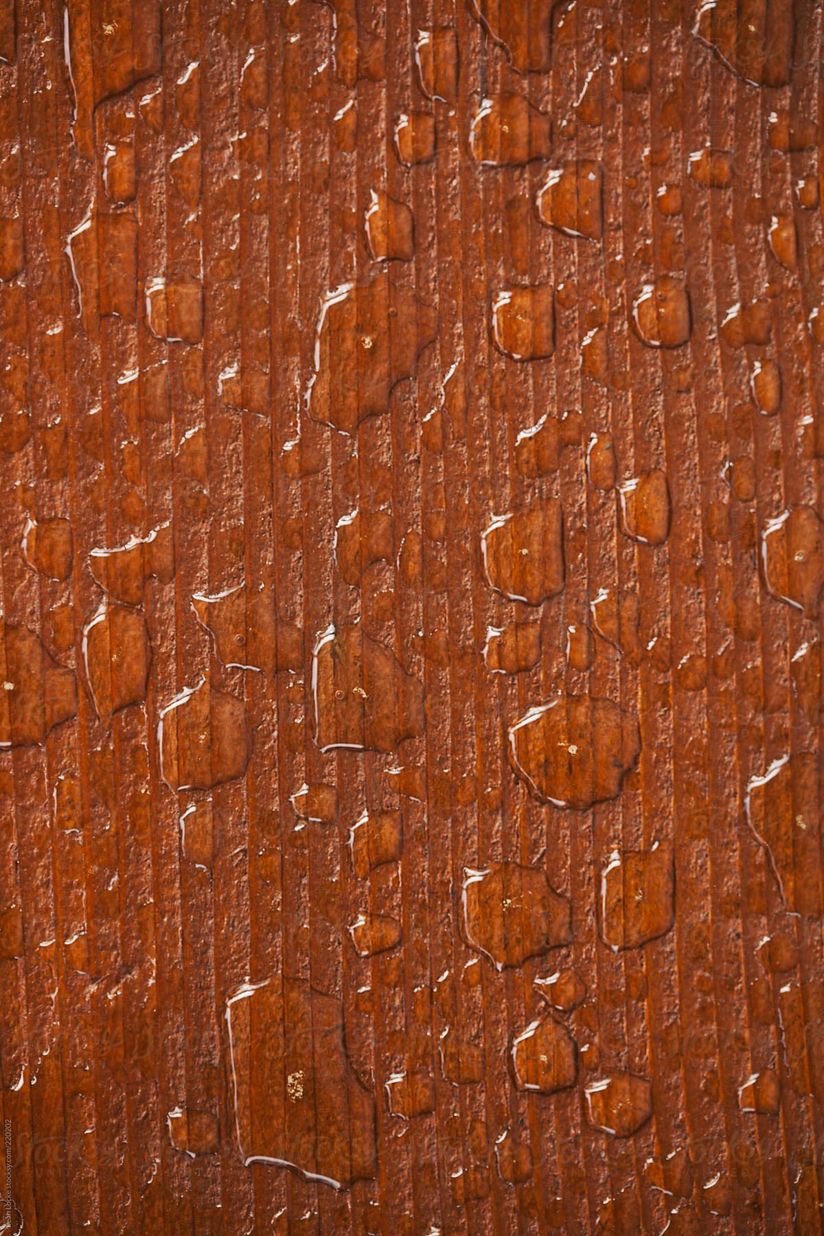 Staining: Water Beading On Freshly Stained Wooden Deck