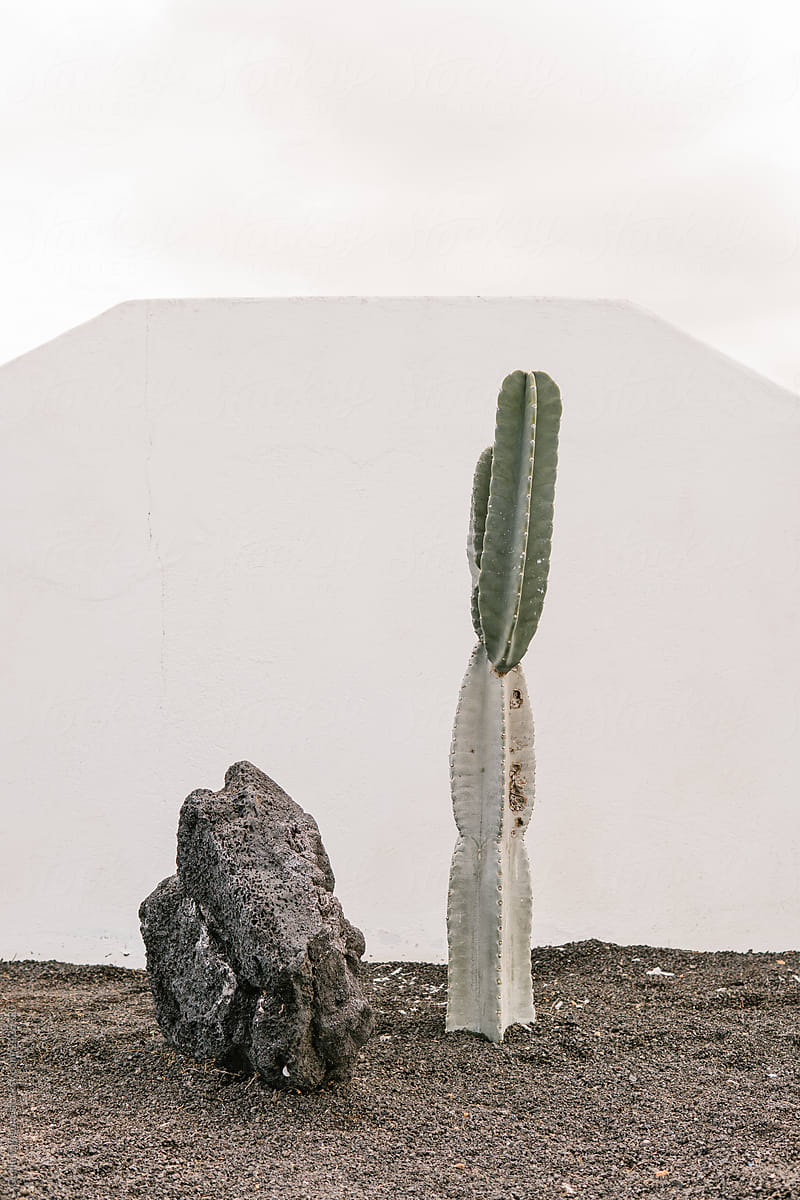Rock and cactus on empty ground