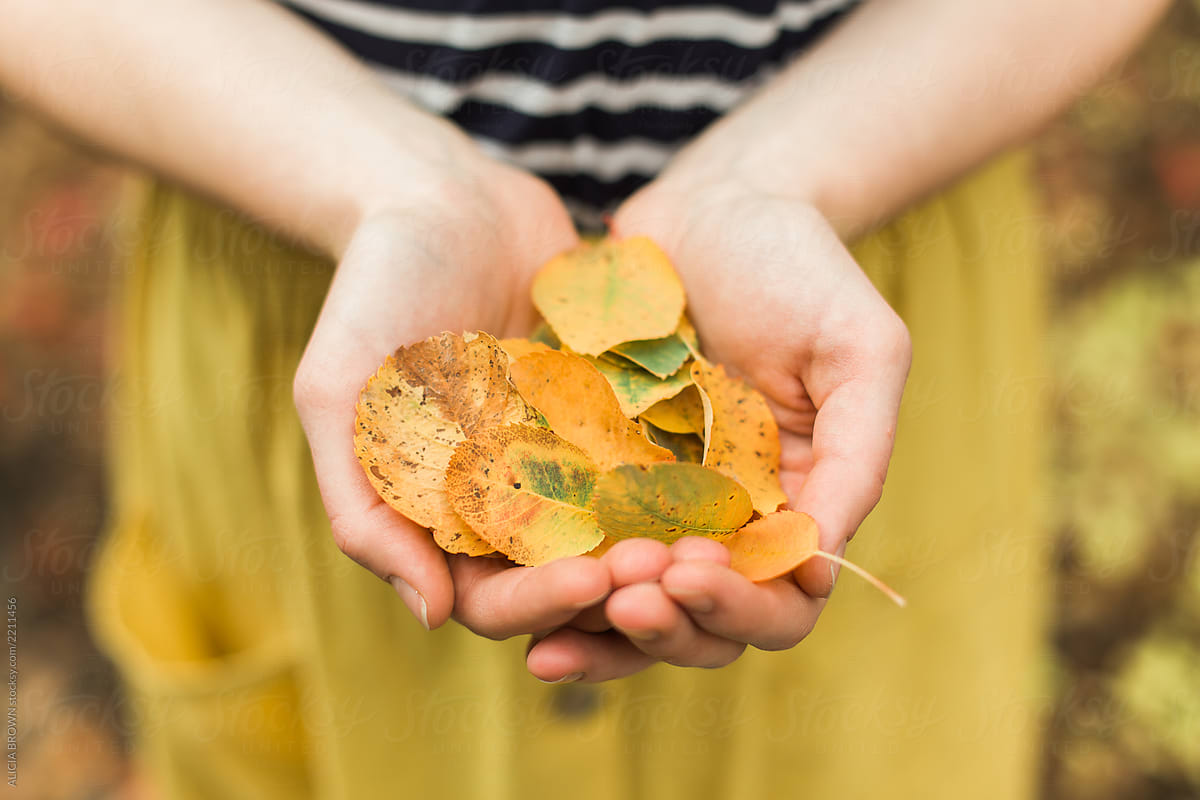 Holding Leaves