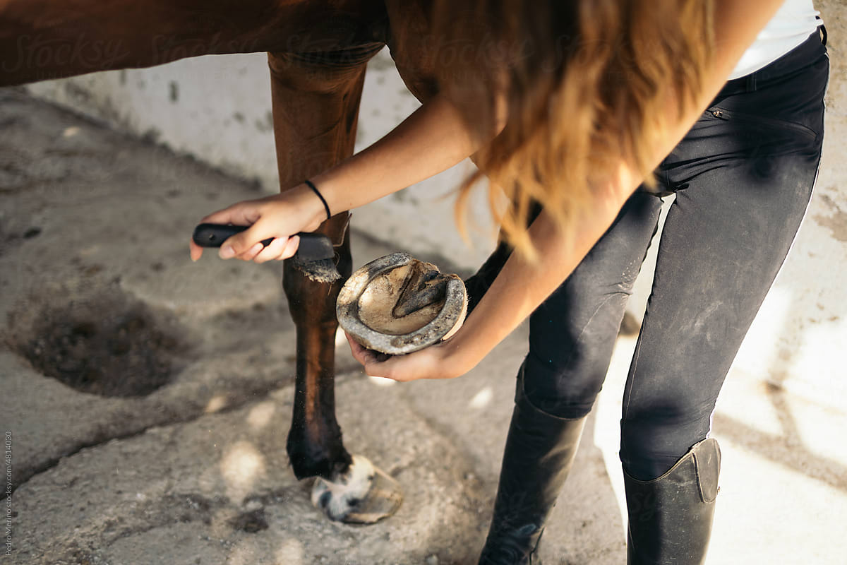 Woman cleaning the horseshoes of a horse
