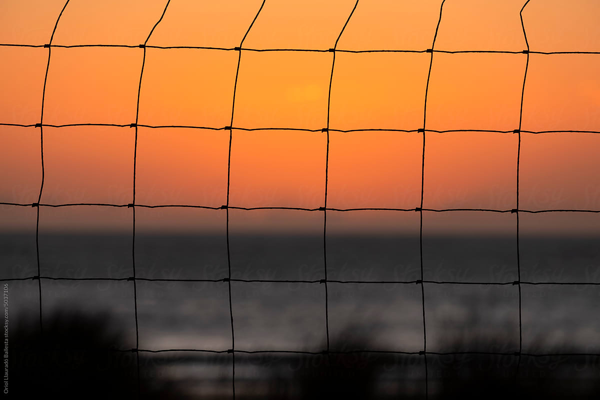 Fence At Sunset