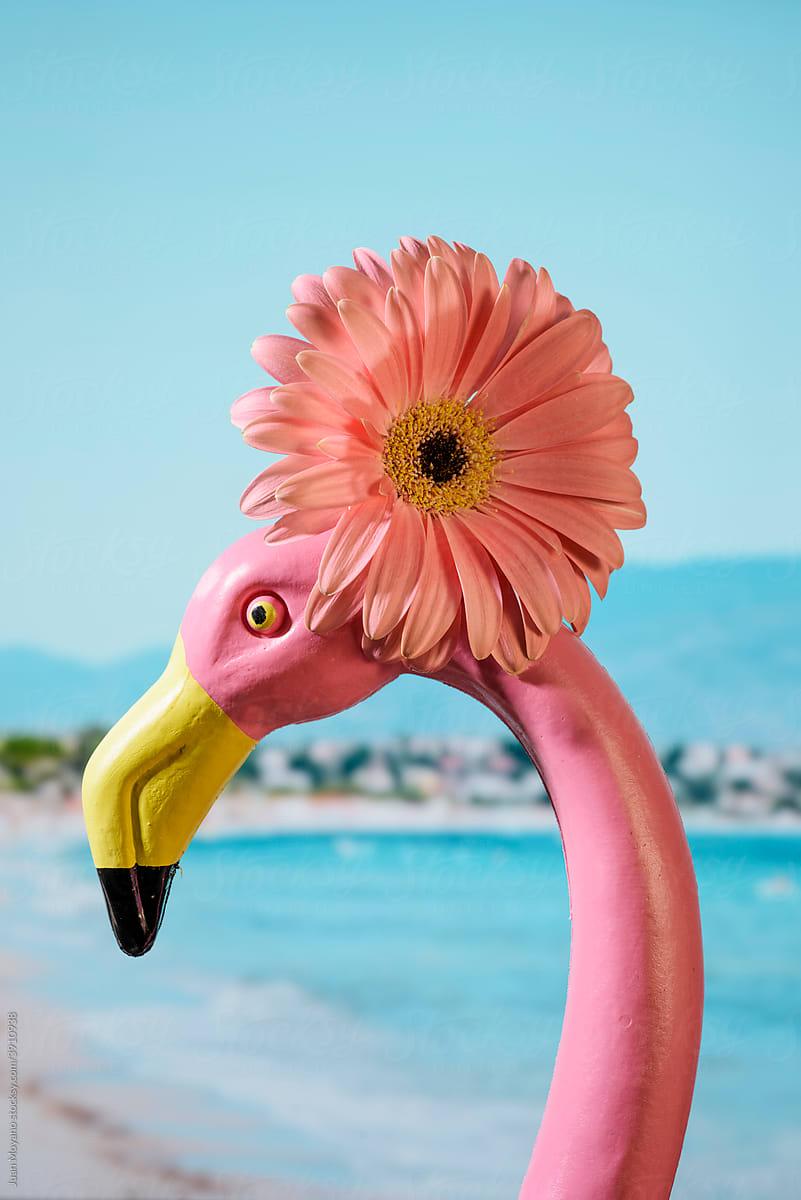fake pink flamingo on the beach