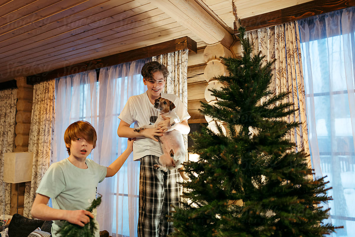 Kids decorate Christmas tree at home.
