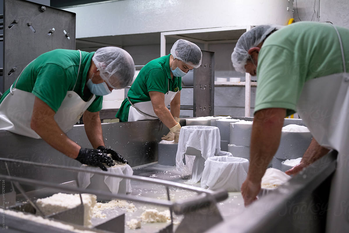 Making Of Cheese In A Traditional Factory.
