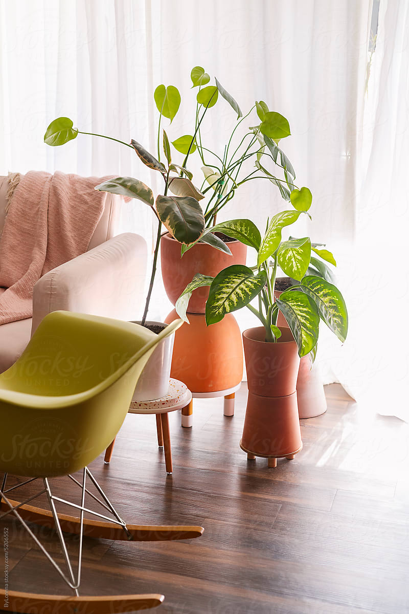 Studio corner with plants at daytime