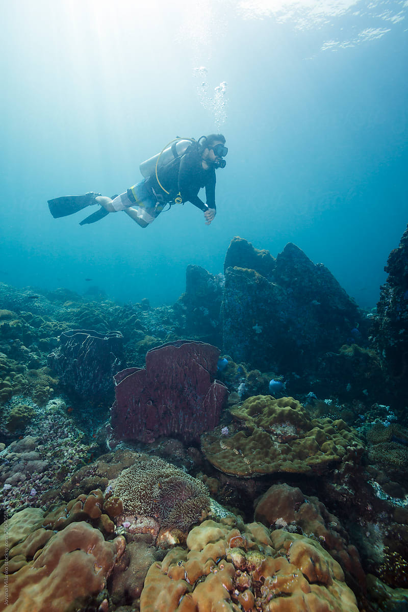 Scuba Diver alone on a coral reef
