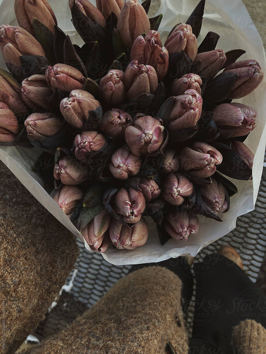 Bouquet of fresh tulips