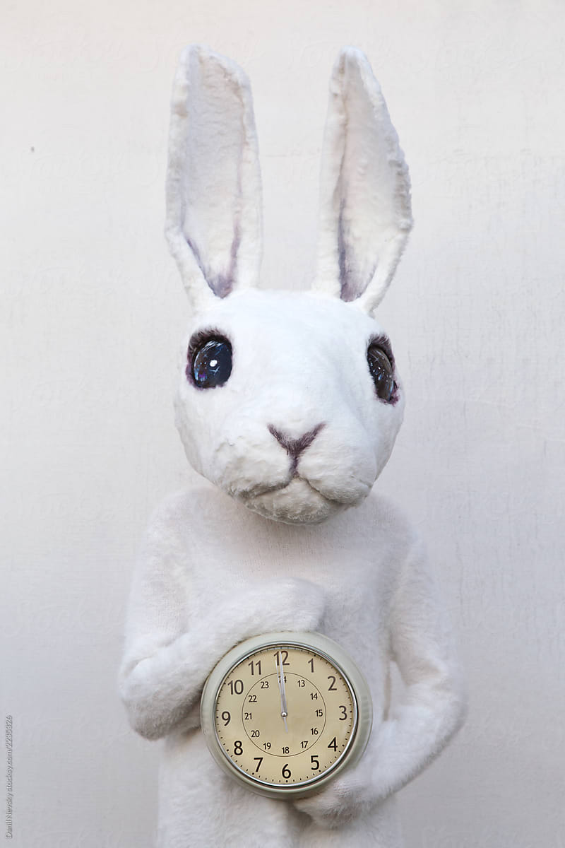 Lovely rabbit with clock