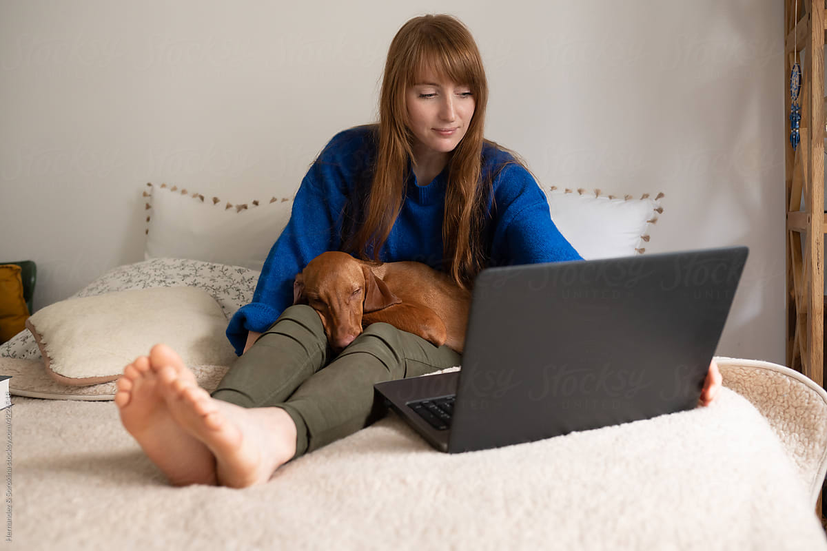 Woman With Dog Using Laptop Indoors