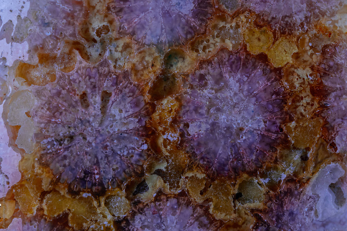coral skeleton fossil crystal jade agate texture detail
