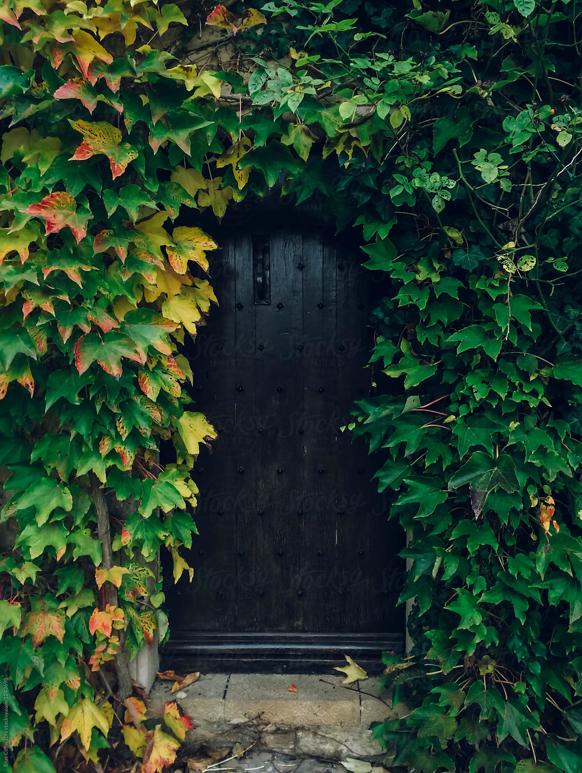 door full of autumn leaves