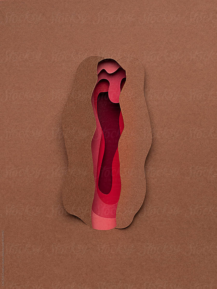 Vagina shape