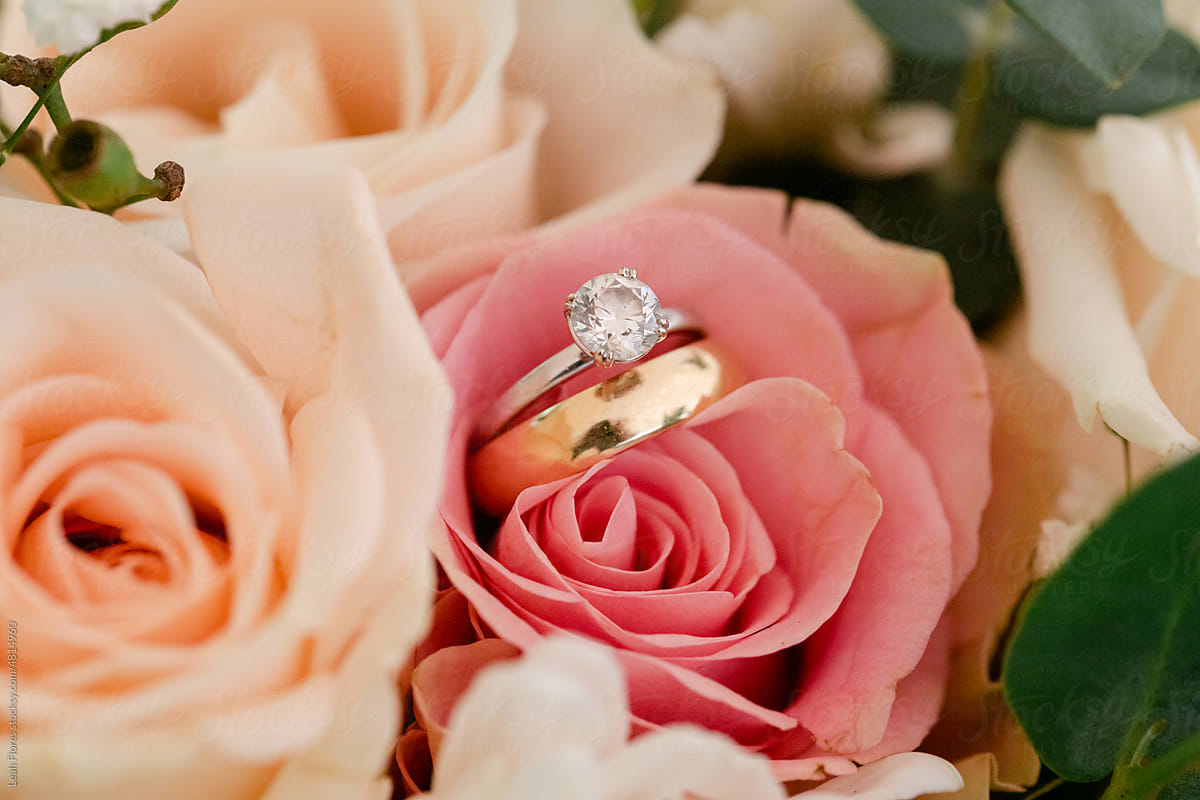 Closeup of Diamond Ring and Wedding Band in Rose Petals