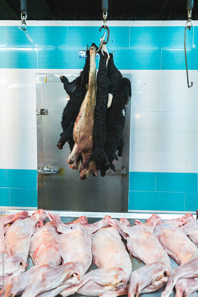 Bunch of dead animals hanging over stall