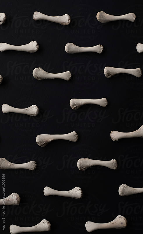 Bones arranged on black background.