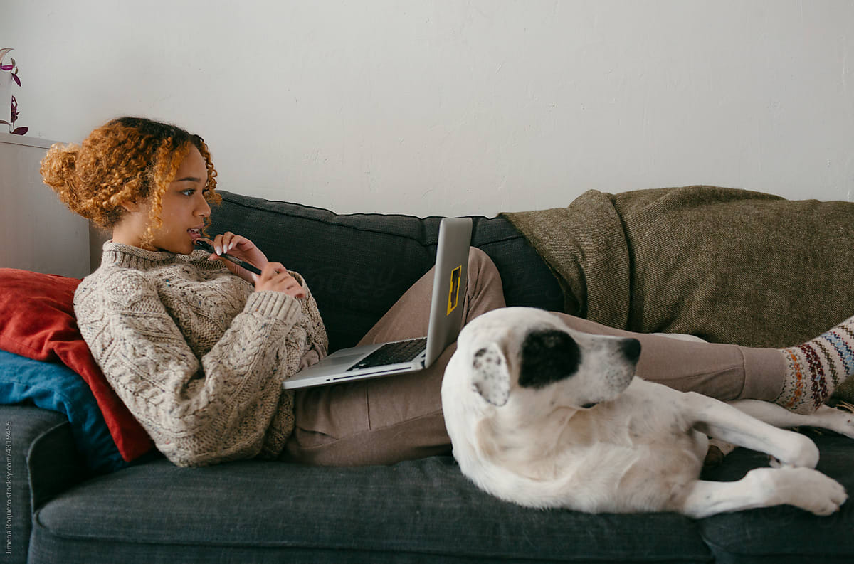 Student using laptop on sofa with dog