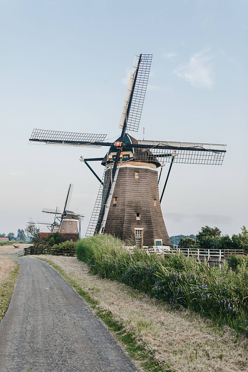 Dutch windmills along a small path